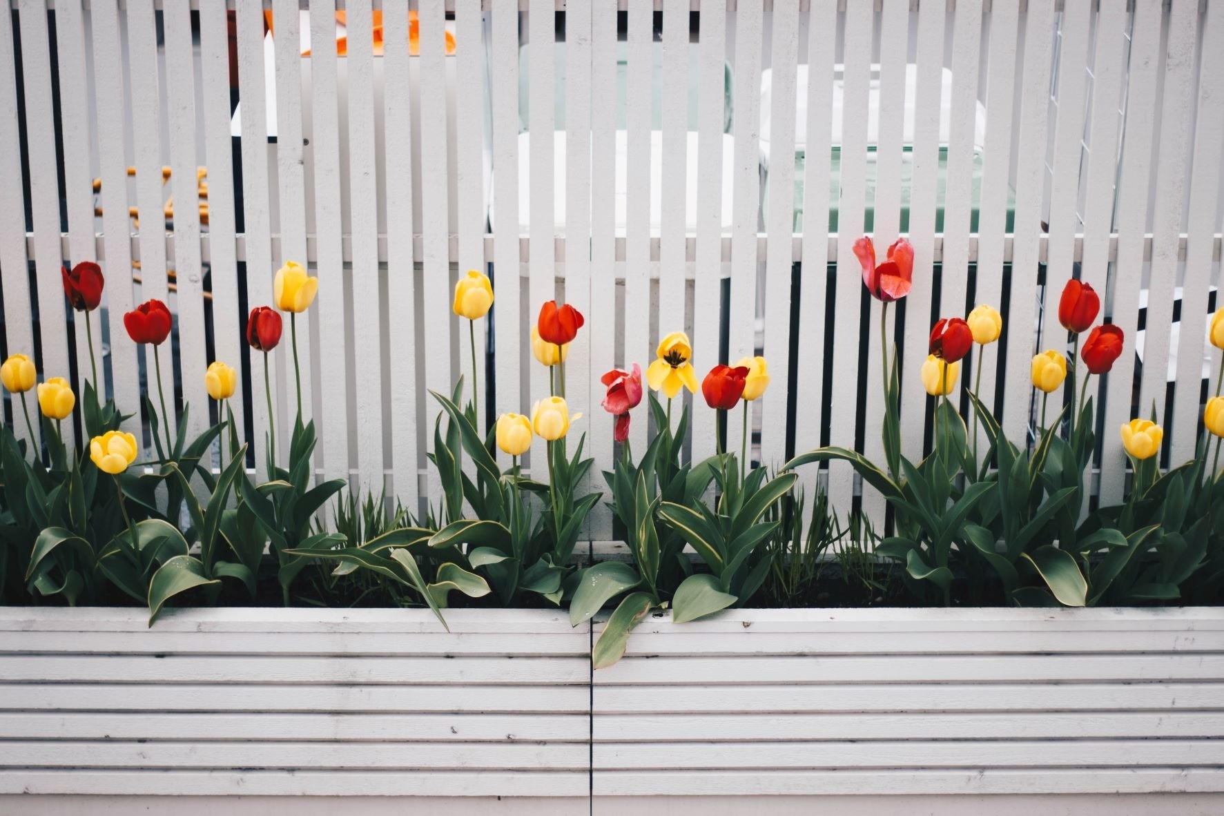 Privacy Fence Repairs in Perrysburg